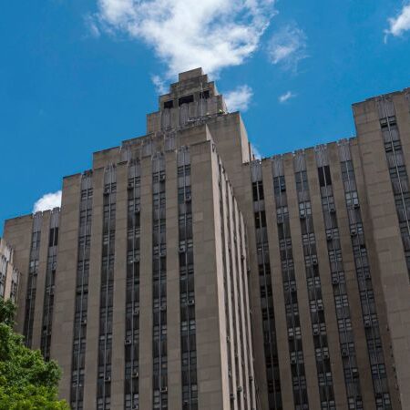 Woeltz : Enlèvement et torture à NYC