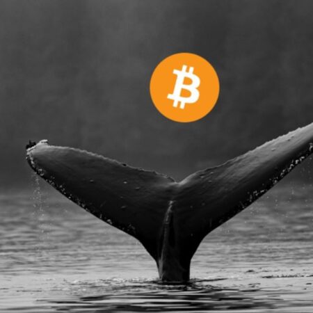 3,3 Md$ en Bitcoin affluent vers HODL ; Accumulation record