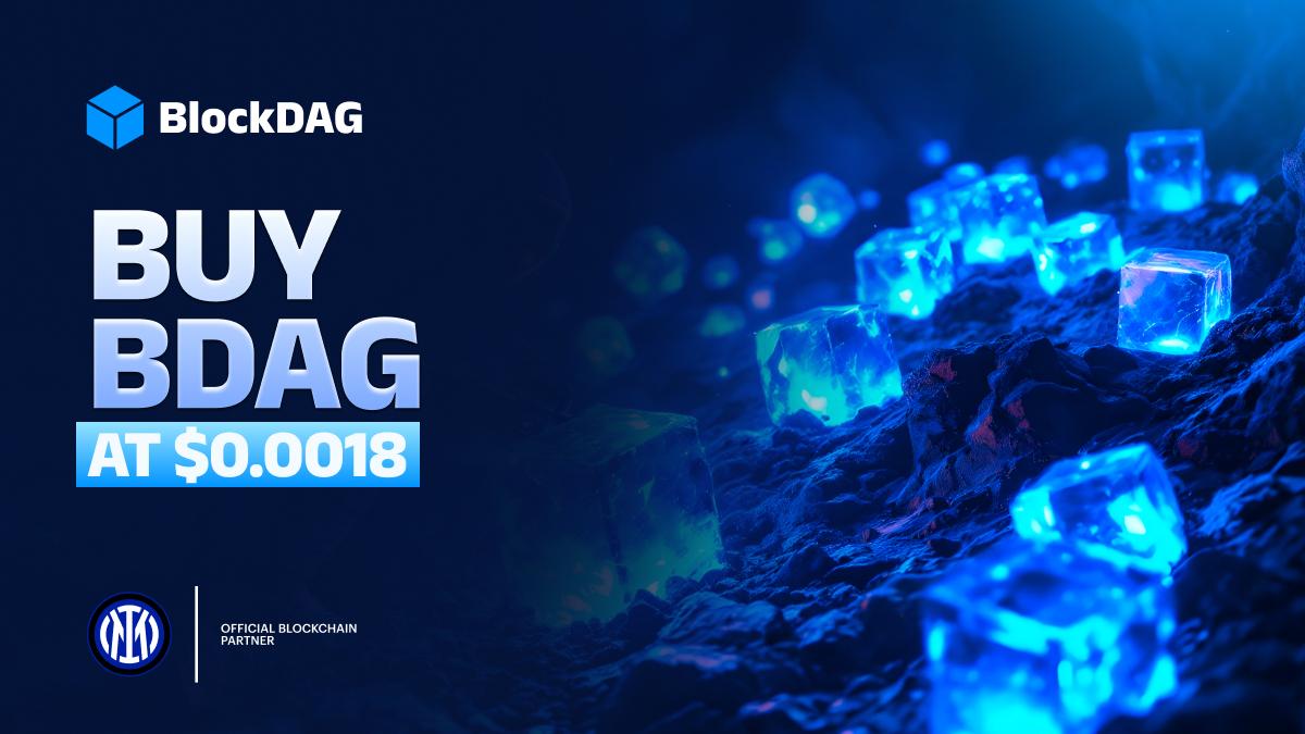 TRON monte, BNB se reprend, BlockDAG fidélise.