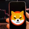 Le pont Shibarium bloqué après un hack de 2,3M$, plan flou