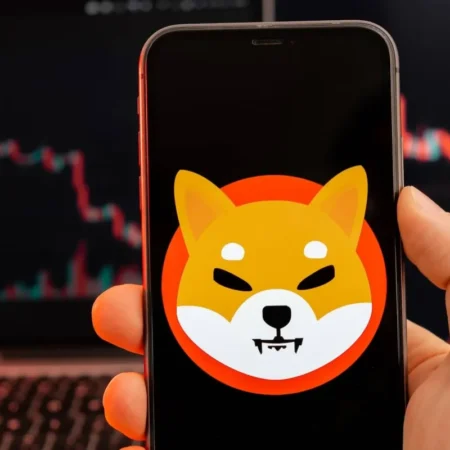 Le pont Shibarium bloqué après un hack de 2,3M$, plan flou
