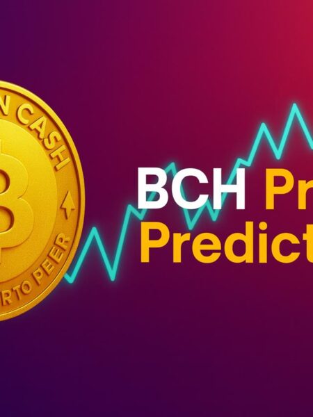 BCH : Niveaux clés, mais prévente crypto prometteuse.