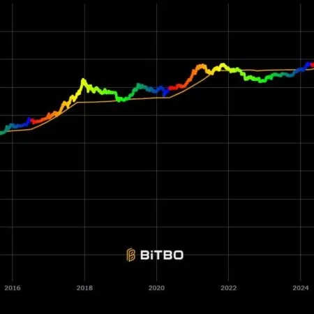 Bitcoin is undervalued and could reach $500,000, says creator of the Stock-to-Flow model