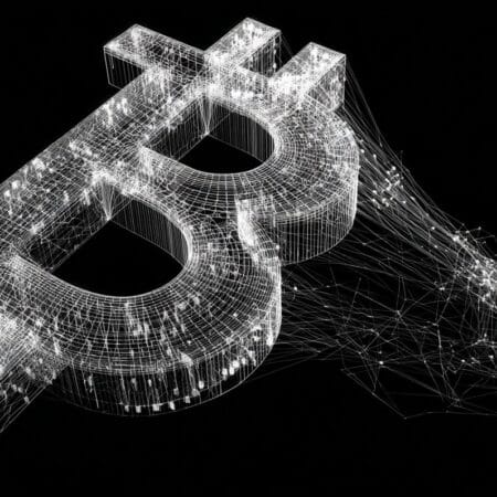 Developer Wants to Privatize Bitcoin