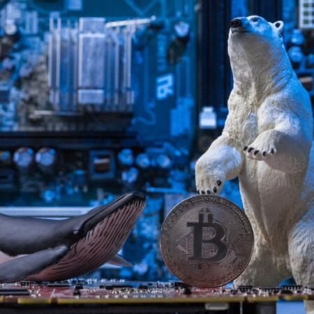 Investor Liquidated for $100 Million Betting Against Bitcoin