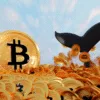 Whale that moved 80,000 bitcoins (worth $9.5 billion) may be a hacker.